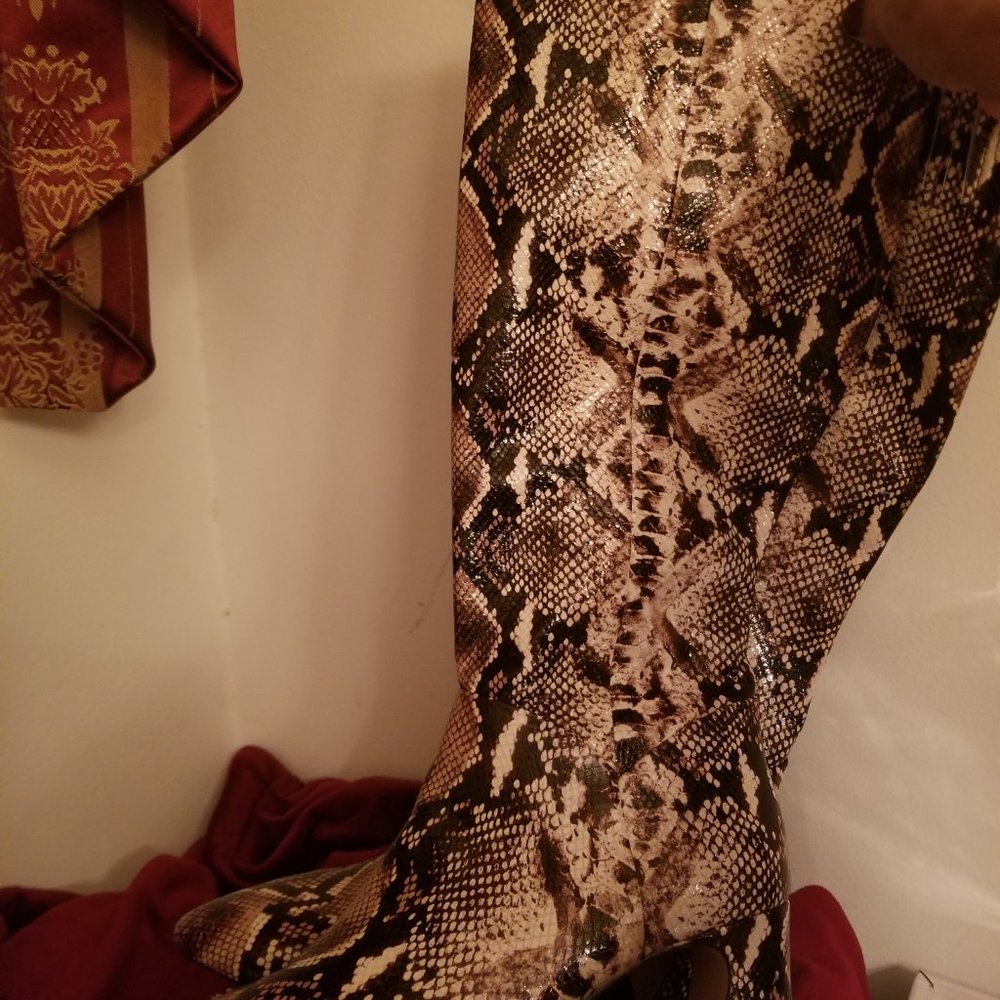Alex Marie tall snake print boots. Inside zip all the way up.